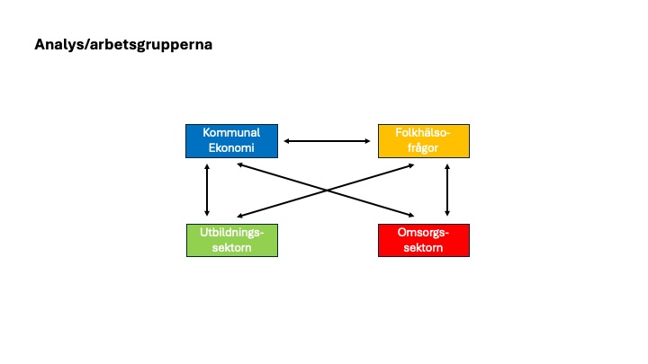 analysarbetsgrupper